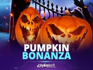 Pumpkin Bonanza screenshot